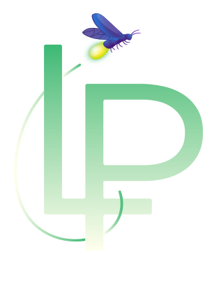 Peinture Lumineuse pour Guidage et Sécurité